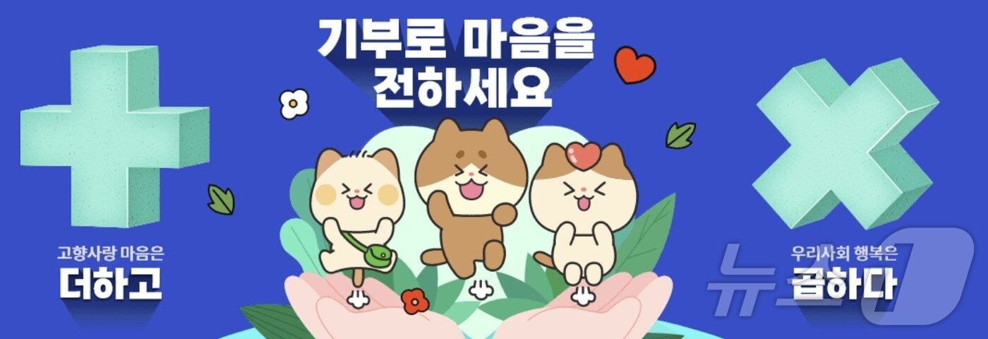 본문 이미지 - 고향사랑기부제./뉴스1