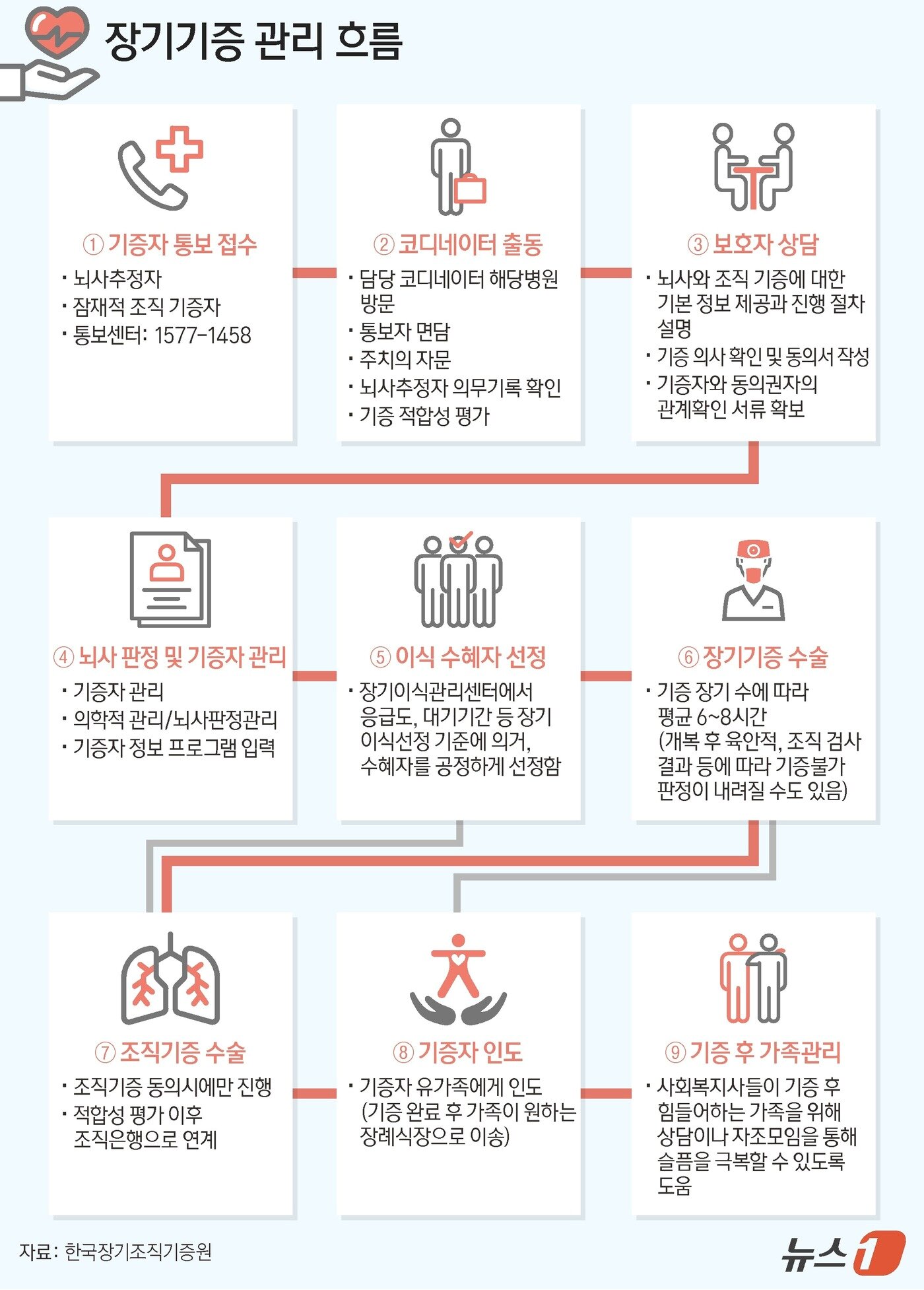 본문 이미지 - 장기기증 관리 흐름 ⓒ News1 양혜림 디자이너