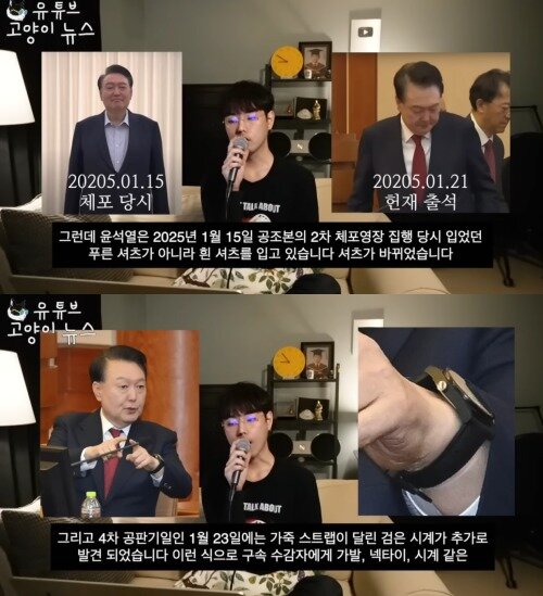 본문 이미지 - ('고양이뉴스' 갈무리)