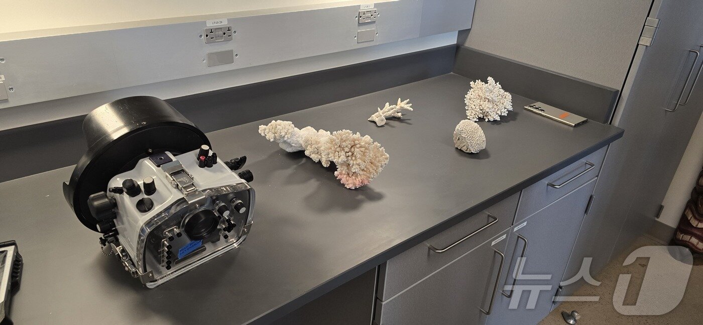 본문 이미지 - 기존 산호초 생태 연구에 쓰였던 수중 촬영 장비와 이를 대체하는 갤럭시 모바일 기기 간의 비교./뉴스1 ⓒ News1 윤주영 기자