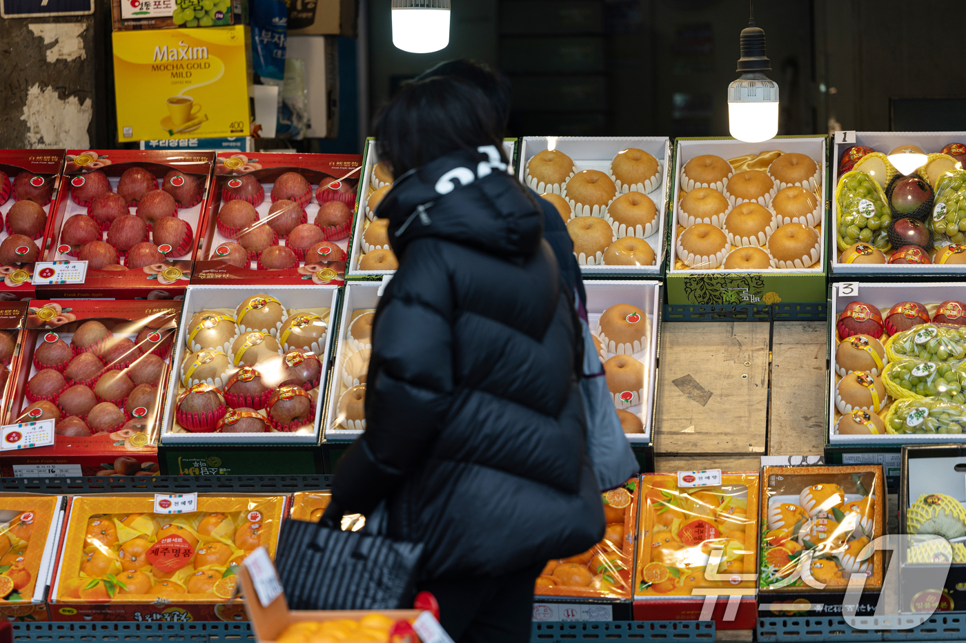 (서울=뉴스1) 이승배 기자 = 설 명절을 앞둔 26일 오후 서울 동대문구 청량리종합시장을 찾은 시민이 사과와 배 등을 둘러보고 있다. 2025.1.26/뉴스1