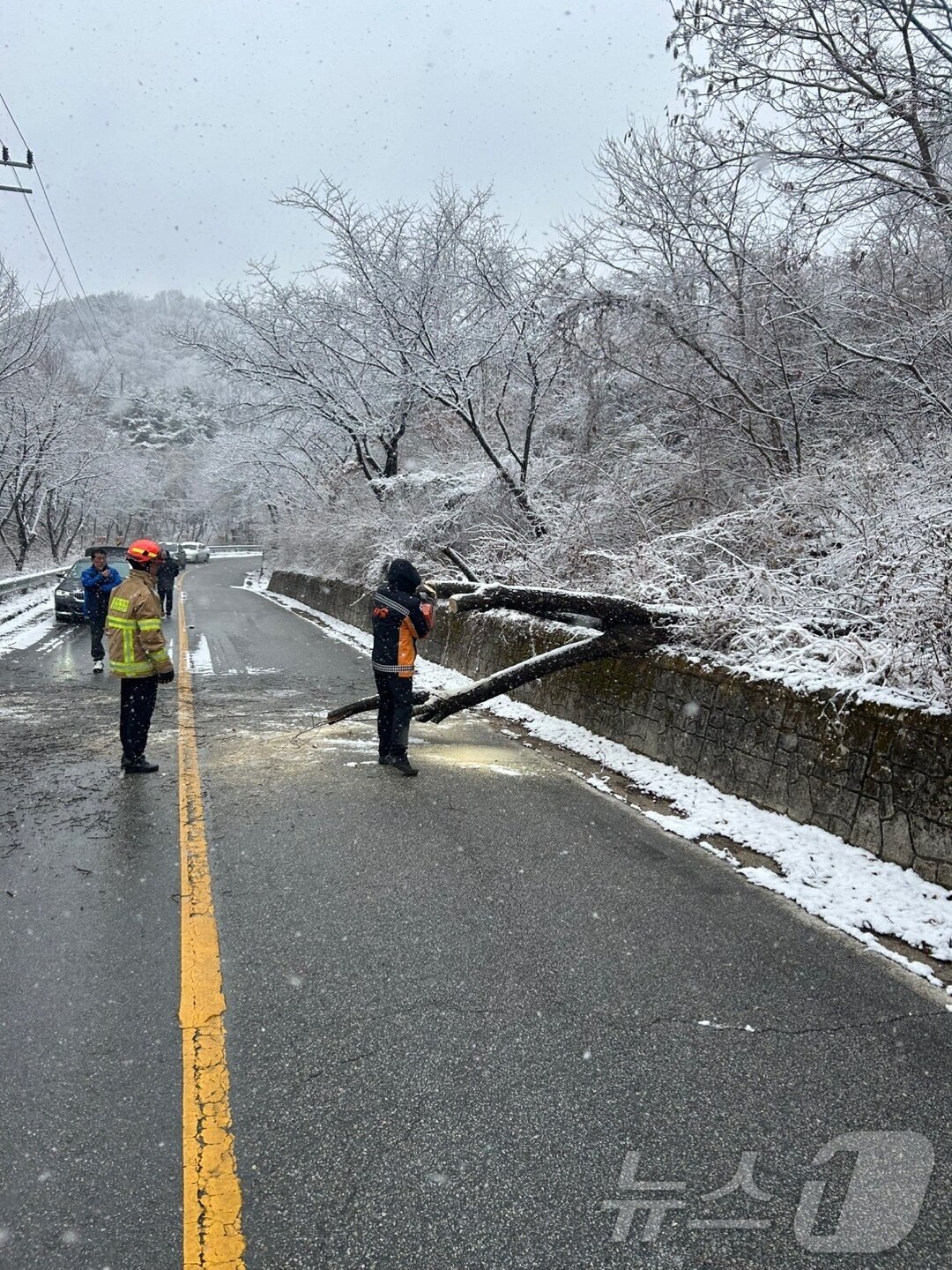 본문 이미지 - 27일 전북지역에 많은 눈이 내린 가운데 임실읍 성수면 한 도로에 나무쓰러짐 피해가 접수돼 소방당국이 제거 작업을 실시하고 있다.(전북자치도 소방본부 제공)/뉴스1