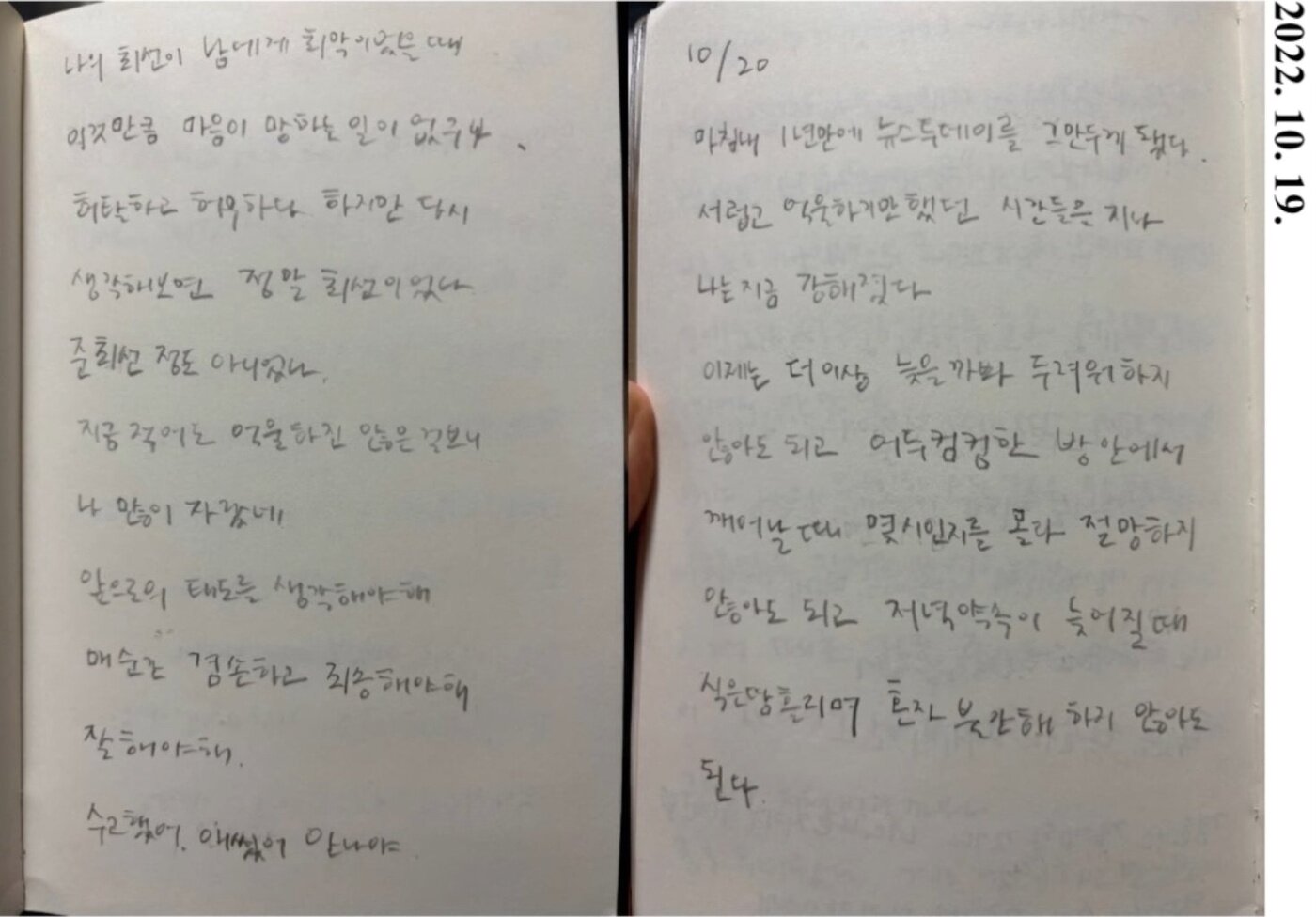 본문 이미지 - &#40;커뮤니티 갈무리&#41;