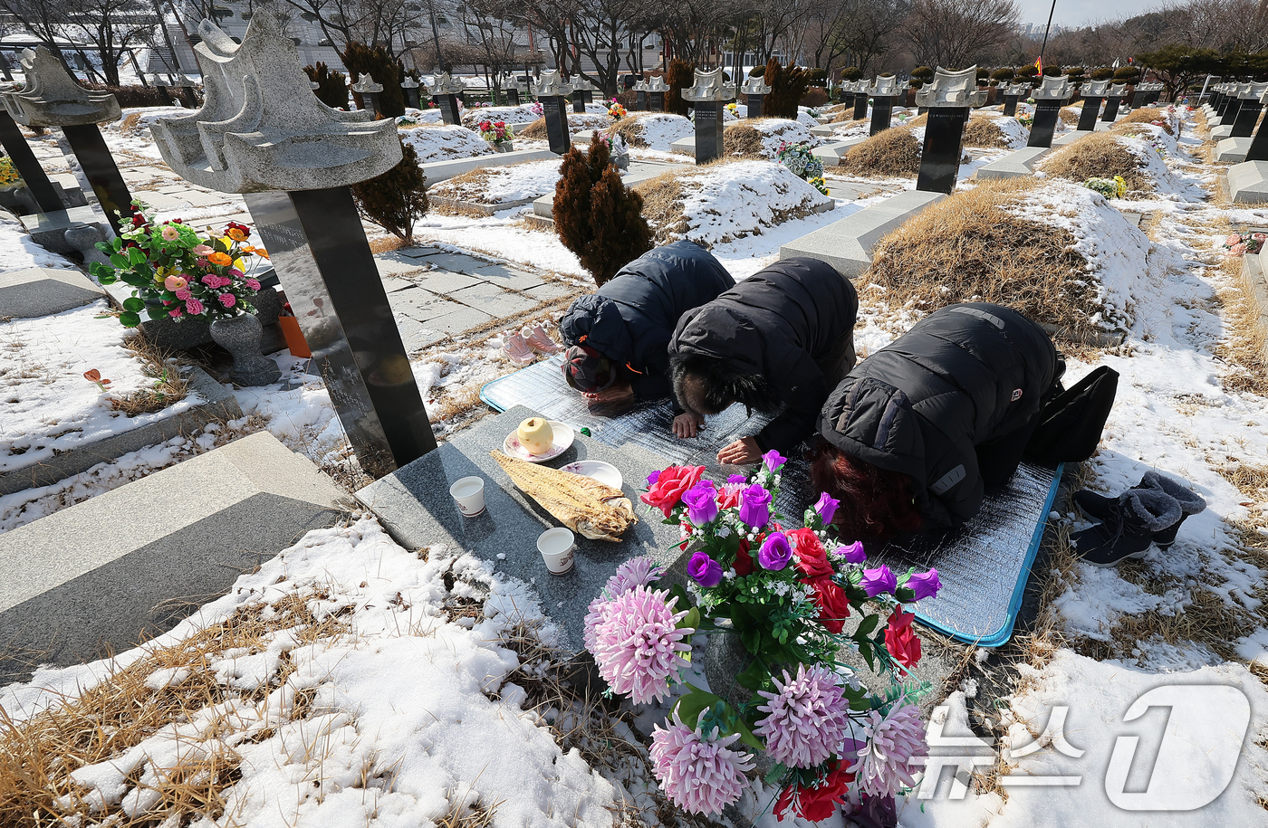 (인천=뉴스1) 김진환 기자 = 설날인 29일 인천시 부평구 인천가족공원묘지를 찾은 성묘객들이 성묘를 하고 있다. 2025.1.29/뉴스1