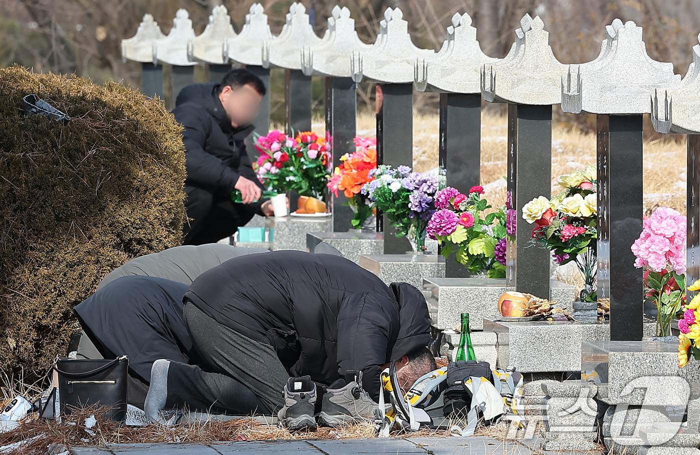 (인천=뉴스1) 김진환 기자 = 설날인 29일 인천시 부평구 인천가족공원묘지를 찾은 성묘객들이 성묘를 하고 있다. 2025.1.29/뉴스1