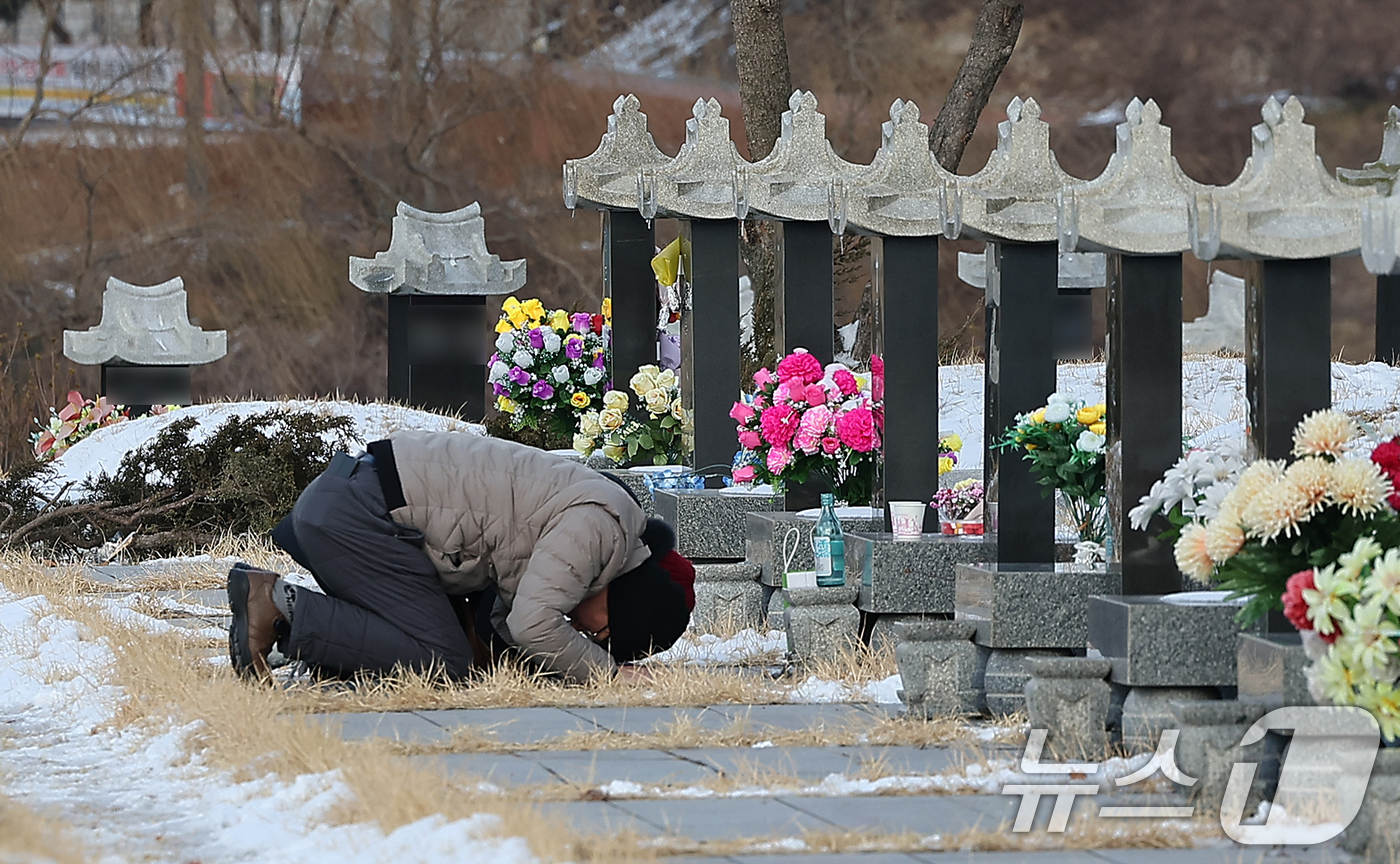 (인천=뉴스1) 김진환 기자 = 설날인 29일 인천시 부평구 인천가족공원묘지를 찾은 성묘객들이 성묘를 하고 있다. 2025.1.29/뉴스1