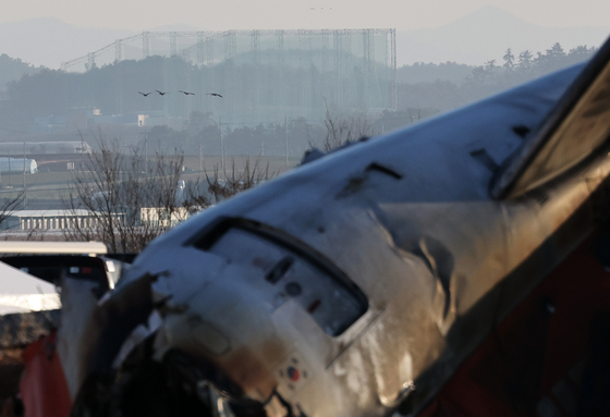 공항 '조류 충돌' 어떻게 막나…국내외 전문가 예방기술 논의