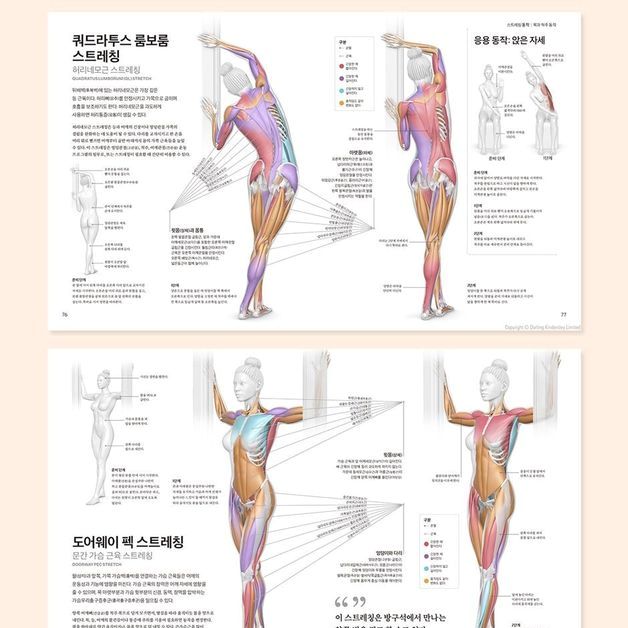 '장소 불문 효과적 운동 '스트레칭'…85동작 3D 정보그림으로 만난다