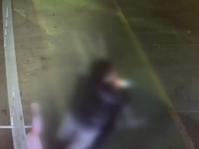 본문 이미지 - (채널A 갈무리)