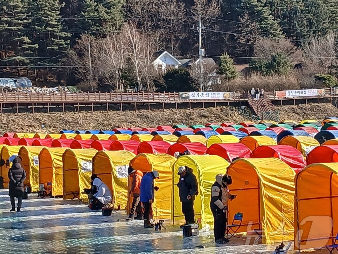 3일 오후 강원 평창 일대에서 열린 제16회 평창송어축제에서 관광객들이 얼음낚시를 하고 있다. 2025.1.3./뉴스1 ⓒ News1 신관호 기자