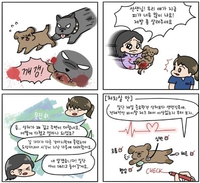 본문 이미지 - 만화로 보는 반려동물 창상 치료 발췌 (대한수의사회 제공) ⓒ 뉴스1