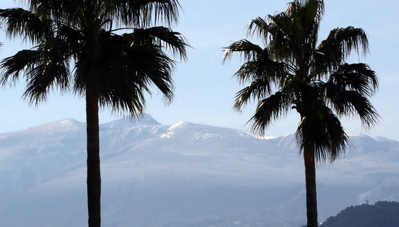 [오늘의 날씨]제주(18일, 목)…일교차 10도 내외로 커