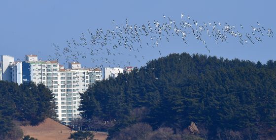 [오늘의 날씨]대구·경북(31일, 금)…아침 강추위, 낮에는 기온 상승