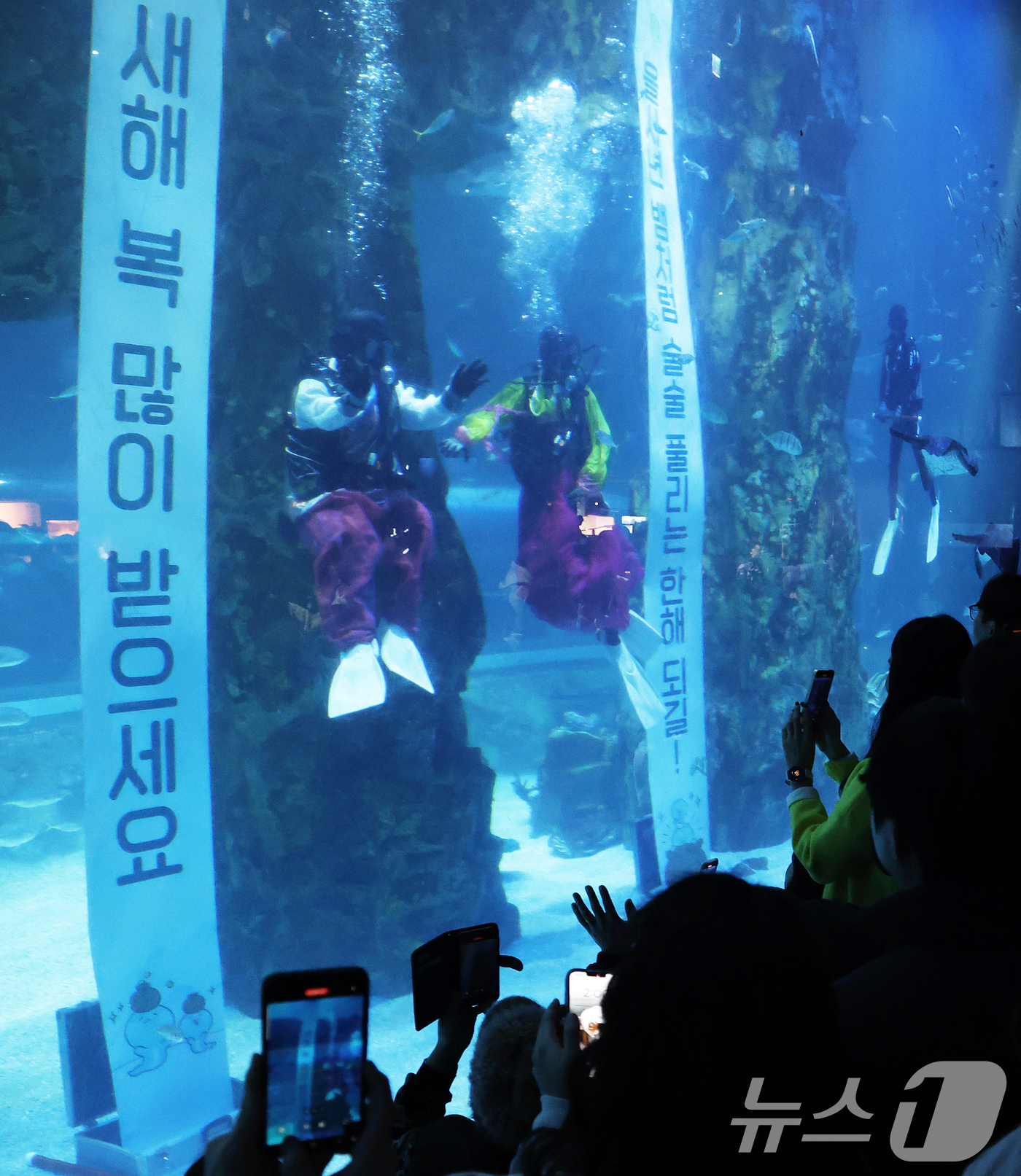 (서울=뉴스1) 오대일 기자 = 민족대명절 설 연휴 마지막 날인 30일 오후 서울 송파구 롯데월드타워 아쿠아리움에서 한복을 입은 아쿠아리스트들이 관람객들에게 설 인사를 하고 있다. …