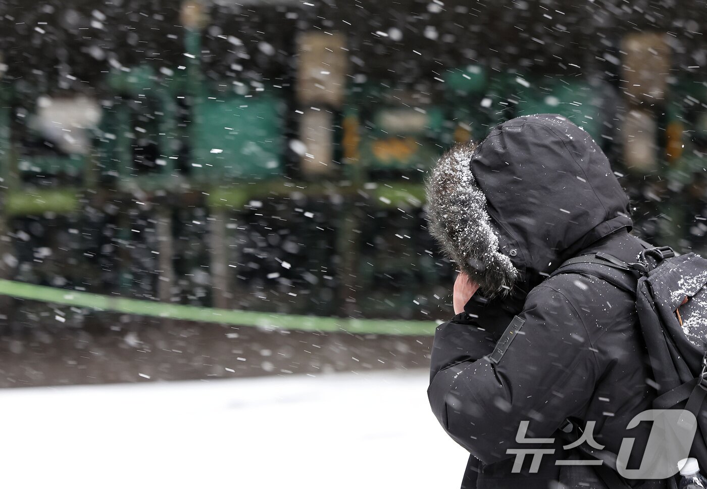 본문 이미지 - 서울을 비롯한 중부지방에 눈이 내리는 31일 서울 시청역 인근에서 시민들이 발걸음을 재촉하고 있다. 2025.1.31/뉴스1 ⓒ News1 이동해 기자