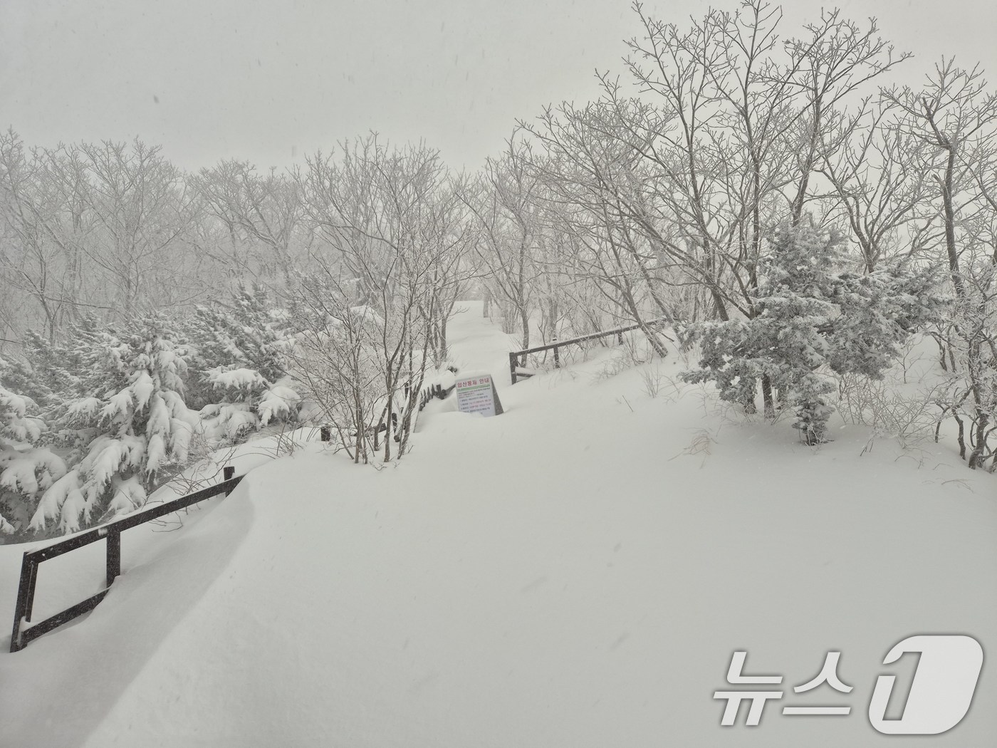 (서울=뉴스1) = 31일 덕유산 국립공원 삿갓재 대피소에 눈이 쌓여 있다. (덕유산국립공원 제공) 2025.1.31/뉴스1