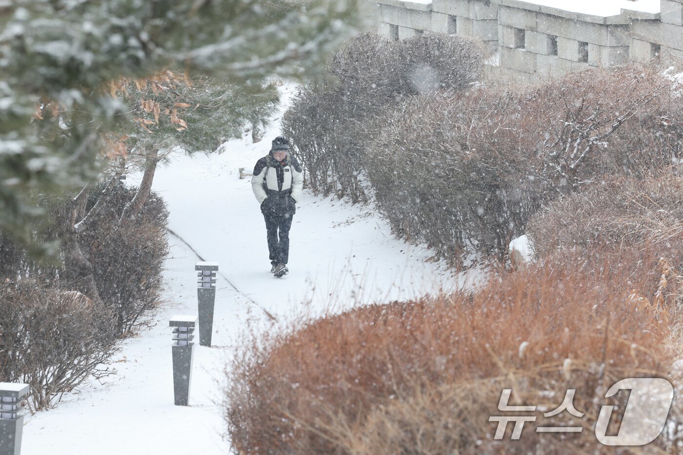 본문 이미지 - 서울을 비롯한 중부지방에 눈이 내리는 31일 오후 서울 종로구 한양도성 인왕산 둘레길에서 시민들이 눈을 맞으며 산책하고 있다. 2025.1.31/뉴스1 ⓒ News1 이동해 기자