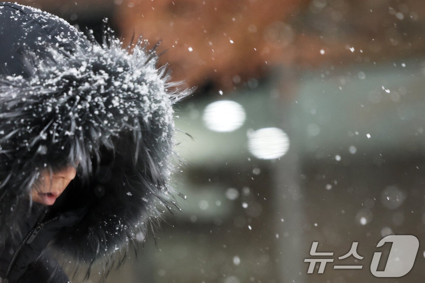 본문 이미지 - 눈이 내린 31일 오후 서울 중구 명동 거리에서 시민이 발걸음을 재촉하고 있다. 2025.1.31/뉴스1 ⓒ News1 황기선 기자