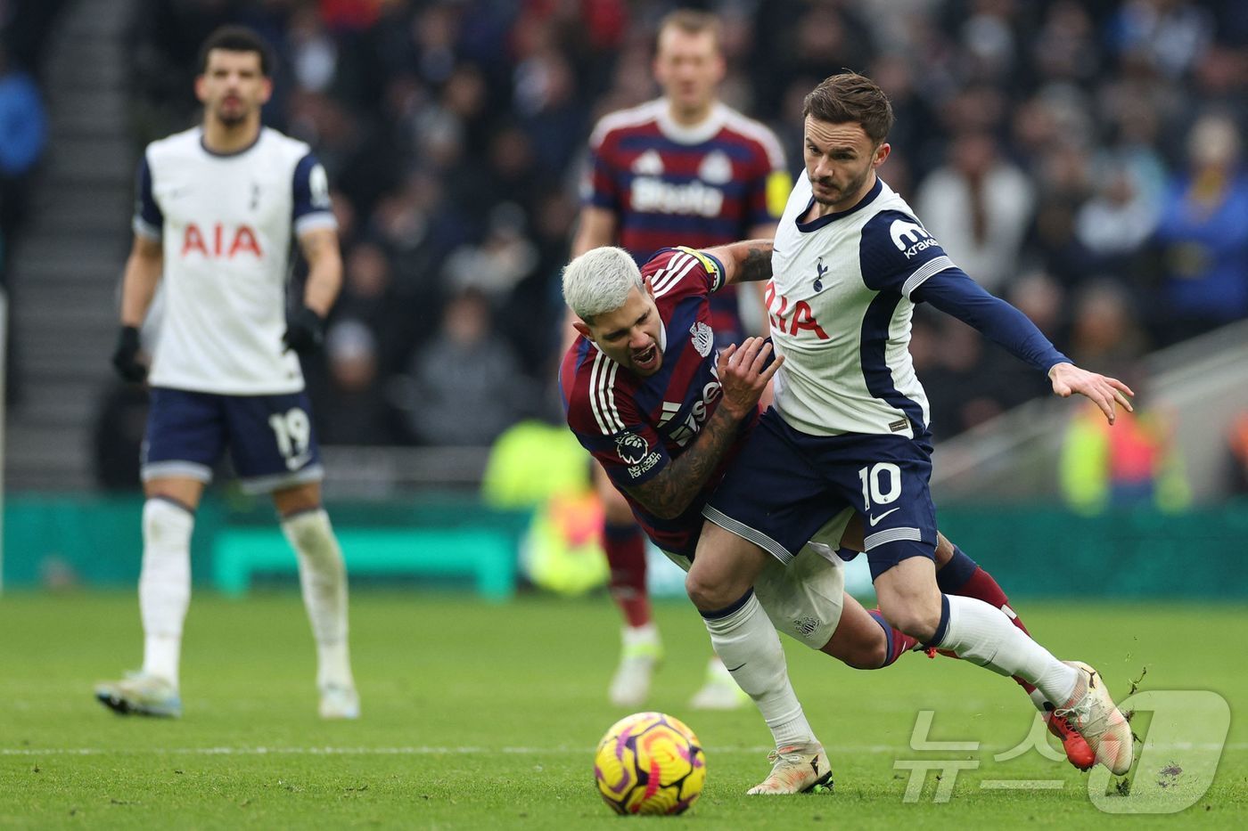본문 이미지 - 토트넘 홋스퍼는 4일(한국시간) 열린 뉴캐슬과 2024-25 잉글랜드 프리미어리그 홈 경기에서 1-2로 역전패했다. ⓒ AFP=뉴스1