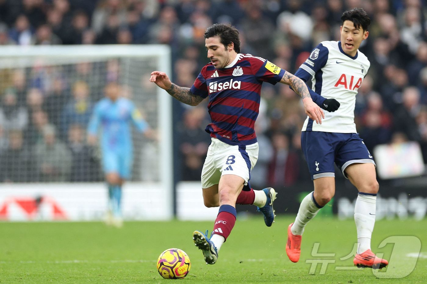 본문 이미지 - 토트넘 홋스퍼 공격수 손흥민(오른쪽)은 4일(한국시간) 열린 뉴캐슬과 2024-25 잉글랜드 프리미어리그 홈 경기에서 교체 출전했으나 공격 포인트를 기록하지 못했다. ⓒ AFP=뉴스1