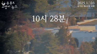 본문 이미지 - &#40;고양이 뉴스 유튜브 갈무리&#41;