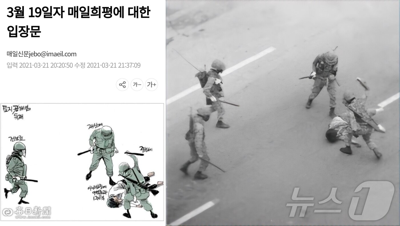본문 이미지 - 대구 최대 일간지인 매일신문이 5·18민주화운동 피해자를 풍자하는 만평을 게시했다가 2021년 3월 21일 사과문을 올렸다. 오른쪽은 풍자에 활용된 5·18 당시 피해자 모습./뉴스1