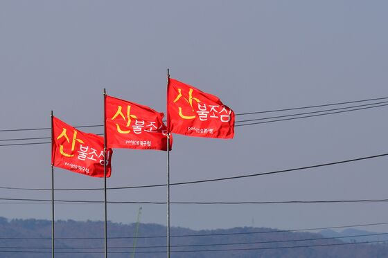 강원 북부산지·중부산지·남부산지 강풍주의보 해제
