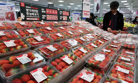 삼겹살 보다 비싼 딸기 가격…음료 메뉴 쏟아내는 카페업계