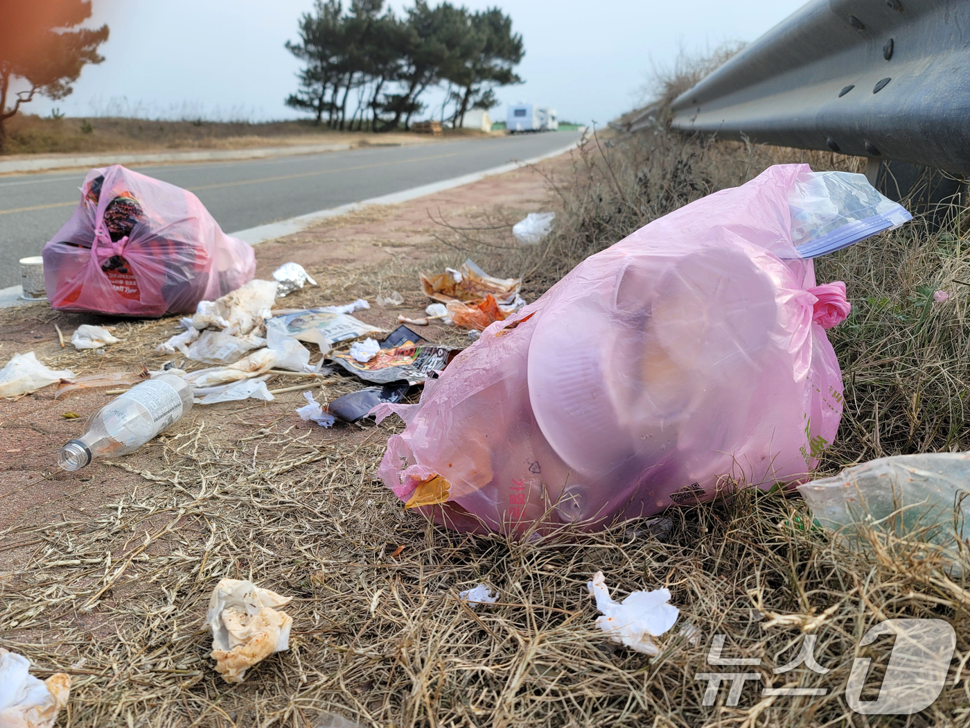 (포항=뉴스1) 최창호 기자 = 5일 경북 포항시 북구 흥해읍 칠포해수욕장 야영장 주변 도로에 행락객들이 버리고 간 쓰레기들이 나뒹굴고 있다. 2025.1.5/뉴스1