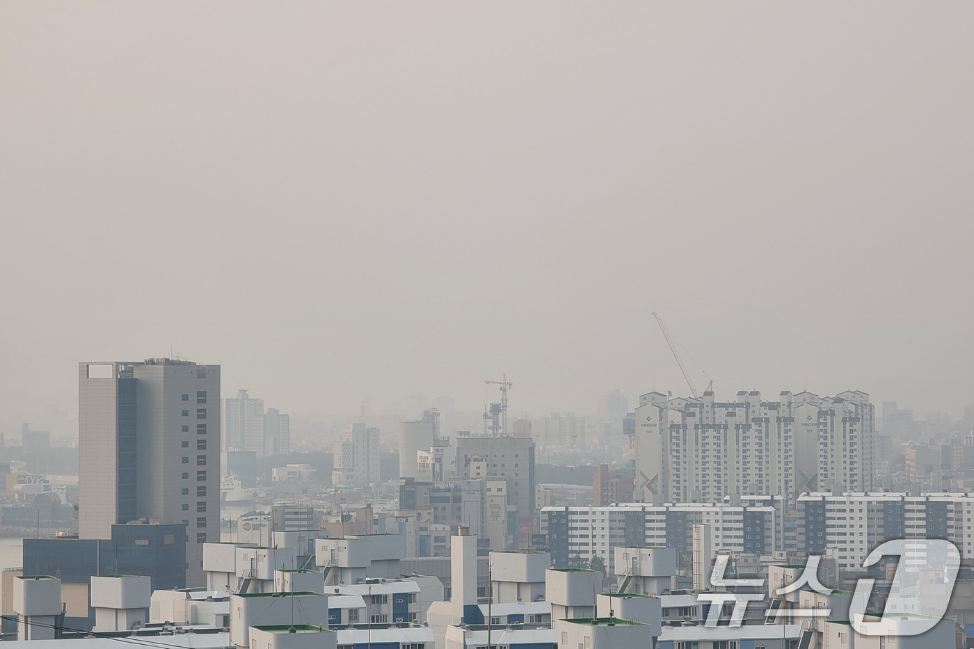 (포항=뉴스1) 최창호 기자 = 6일 오전 경북 포항시 전역이 희뿌연 미세먼지에 뒤덮여 있다. 2025.1.6/뉴스1