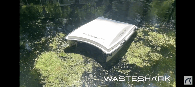 본문 이미지 - 란 머린 테크놀로지(RanMarine Technology)에서 개발한 자율 로봇 '웨이스트샤크'(WasteShark) 로봇 (란 머린 테크놀로지 유튜브)
