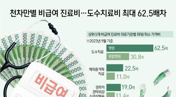 [오늘의 그래픽] 천차만별 비급여 진료비…도수치료비 최대 62.5배차