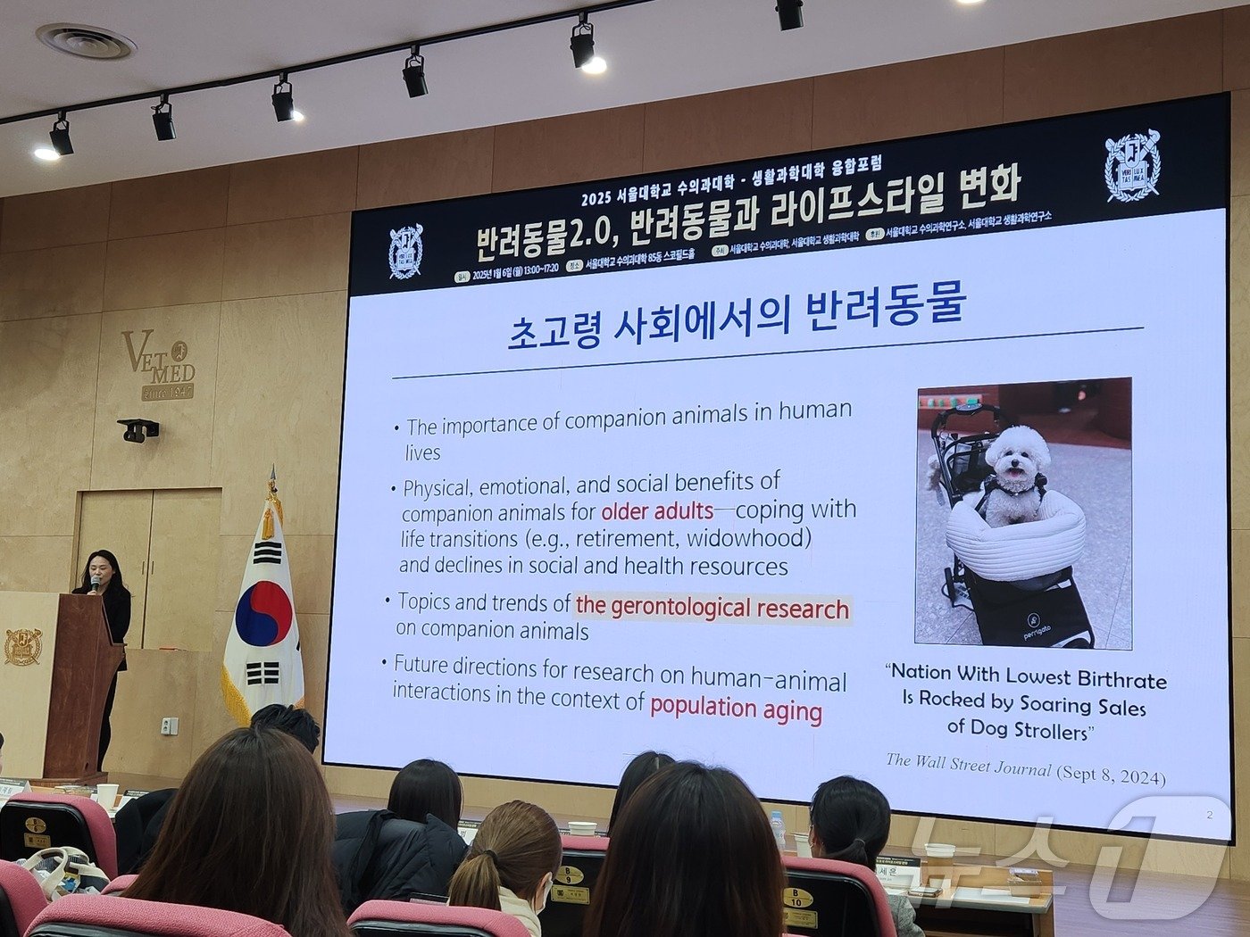 본문 이미지 - 김경민 서울대 생활과학대학 아동가족학과 교수가 6일 '반려동물 2.0, 반려동물과 라이프스타일 변화' 포럼에서 '노년기 삶과 반려동물'을 주제로 강의하고 있다. ⓒ 뉴스1 한송아 기자