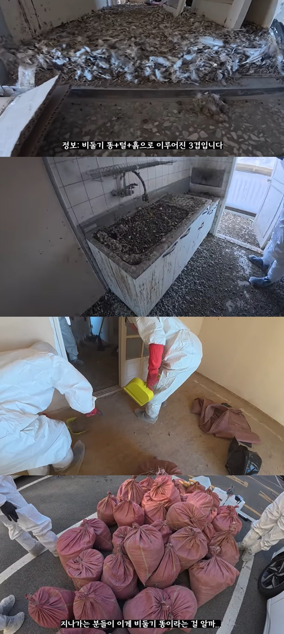 본문 이미지 - (유튜브 채널 '생존' 갈무리)