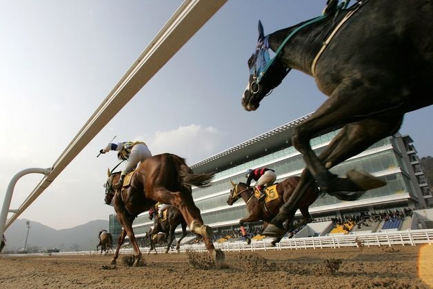 렛츠런파크 부산경남, 1월 60개 경마…외국인 기수 4인방 '라인업'