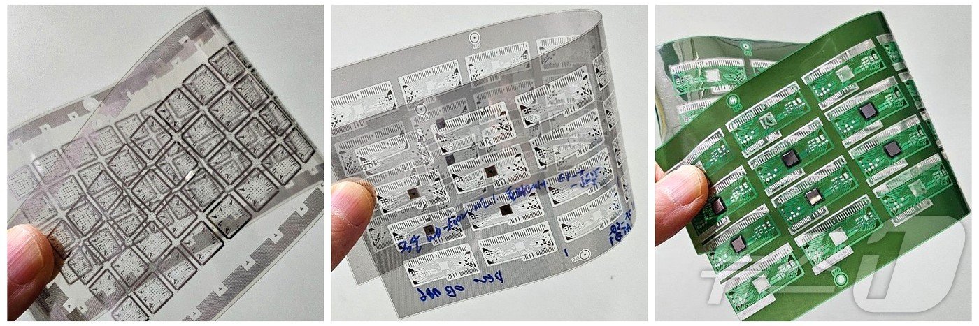 전주대 장진해 교수 연구팀이 개발한 &#39;‘친환경 무색투명 플렉시블 반도체 기판&#39; 모습.&#40;전주대 제공&#41;/뉴스1