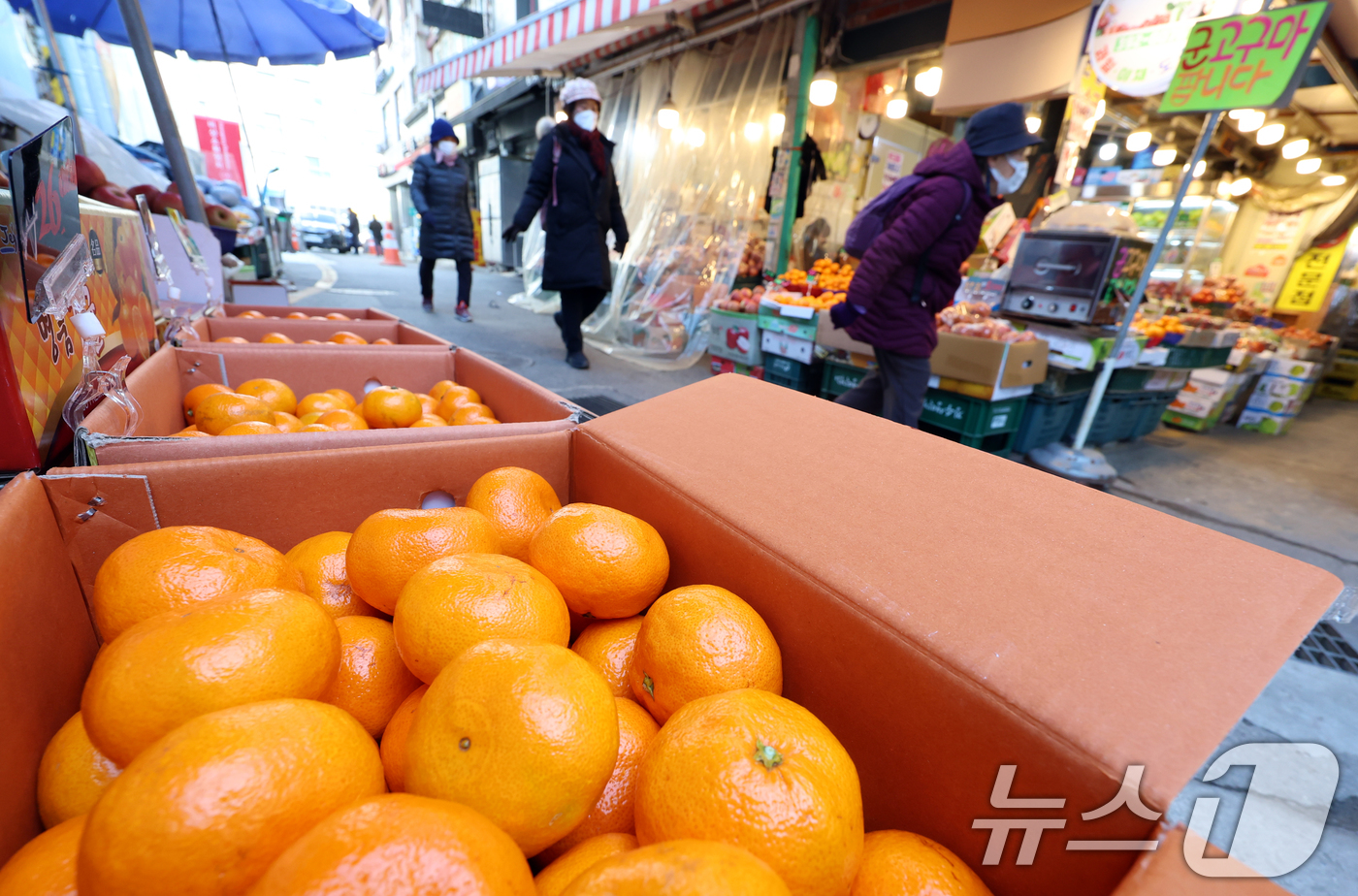 (서울=뉴스1) 김명섭 기자 = 7일 서울 서대문구 영천시장에서 시민이 장을 보고 있다.전라지역에 최대 40㎝에 달하는 폭설이 예상되면서, 설 연휴를 앞두고 장바구니 물가에 비상이 …