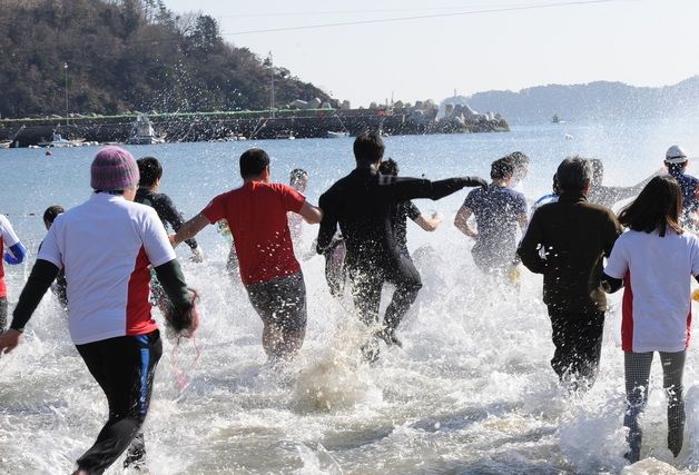 '겨울 바다 풍덩' 거제국제펭귄수영축제 3년만에 재개최