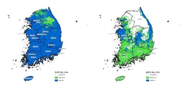 2100년엔 녹차 전국서 재배…강릉·인천서도 올리브 생산