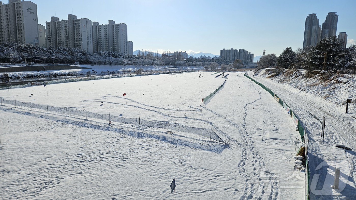 본문 이미지 - 7일 오후부터 전북 전역에 대설특보가 발효돼 많은 눈이 내렸다. 사진은 눈이 쌓인 전주시 완산구 효자동 일대. 2025.1.8/뉴스1 ⓒ News1 신준수 기자