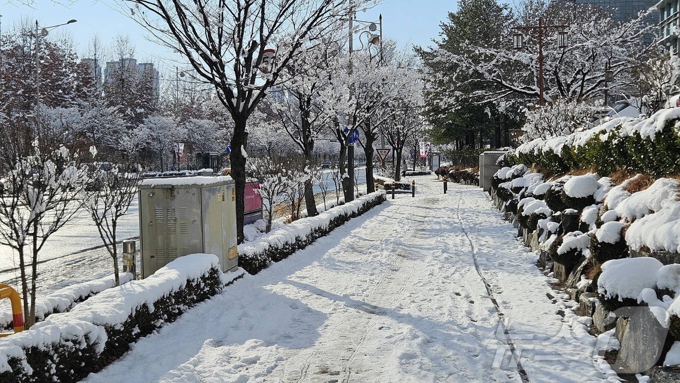 (전주=뉴스1) 신준수 기자 = 7일 오후부터 전북 전역에 대설특보가 발효돼 많은 눈이 내렸다. 사진은 눈이 쌓인 전주시 완산구 효자동 전북경찰청 인근. 2025.1.8/뉴스1