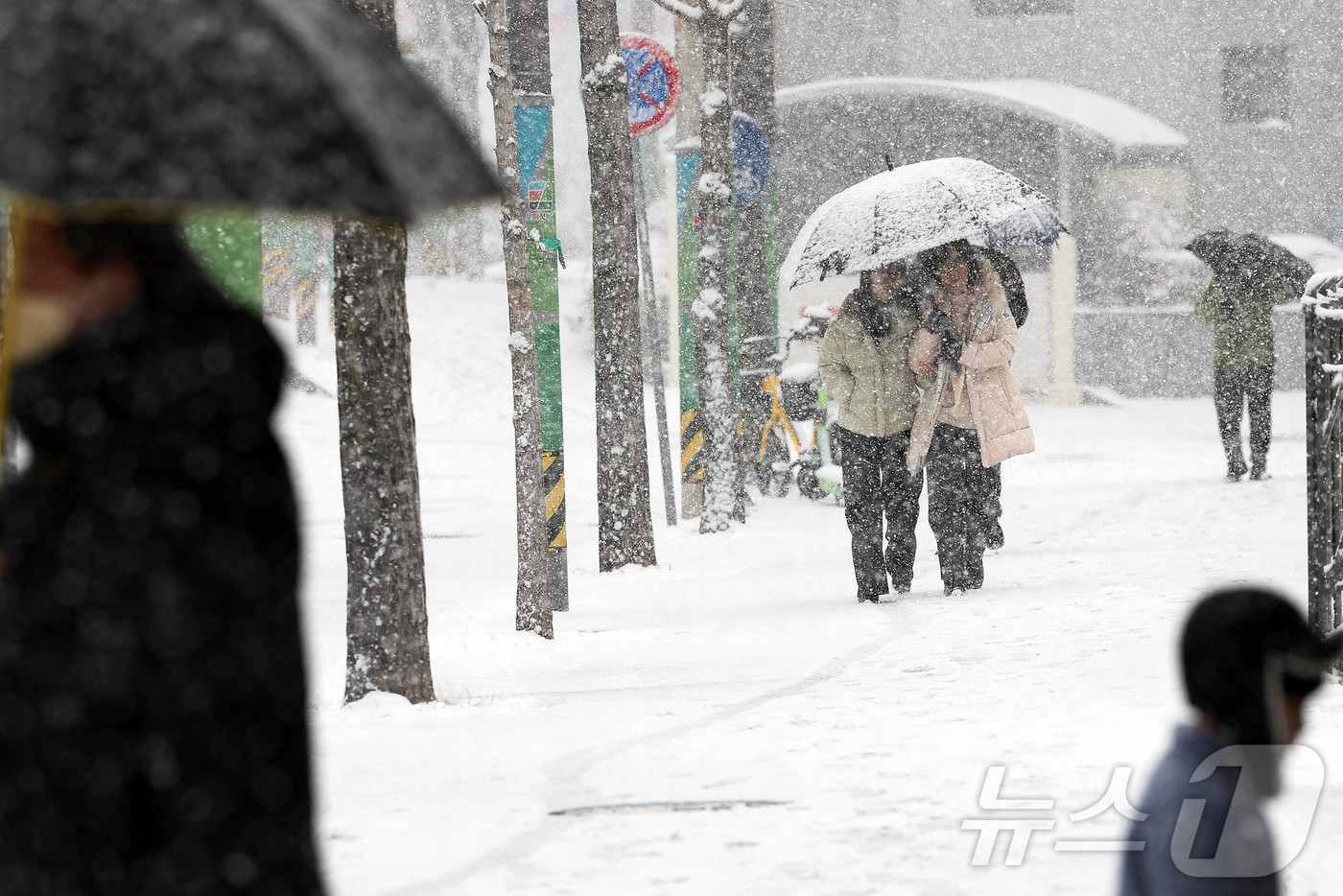 (광주=뉴스1) 박지현 기자 = 대설주의보가 내려졌던 지난 7일 광주 북구청 일대 눈이 내려 시민들이 우산을 쓰고 걸어가고 있다.(광주 북구 제공)2025.1.8/뉴스1