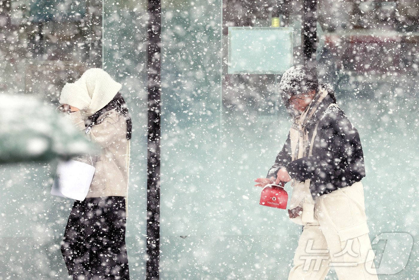 본문 이미지 - 대설주의보가 내려졌던 지난 7일 광주 북구청 일대 눈이 내려 시민들이 눈 사이로 걸어가고 있다.(광주 북구 제공)2025.1.8/뉴스1 