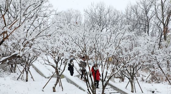 무주 덕유산 22㎝ 눈 쌓여…전북 시간당 1~3㎝ 내외