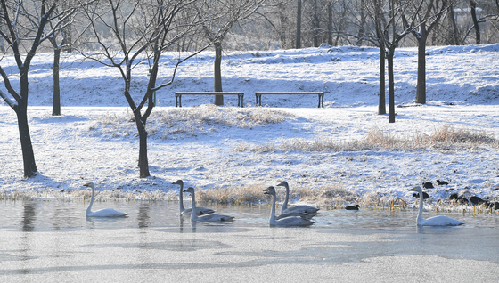 거창창포원, 12일부터 입장료 징수…"군민은 무료"