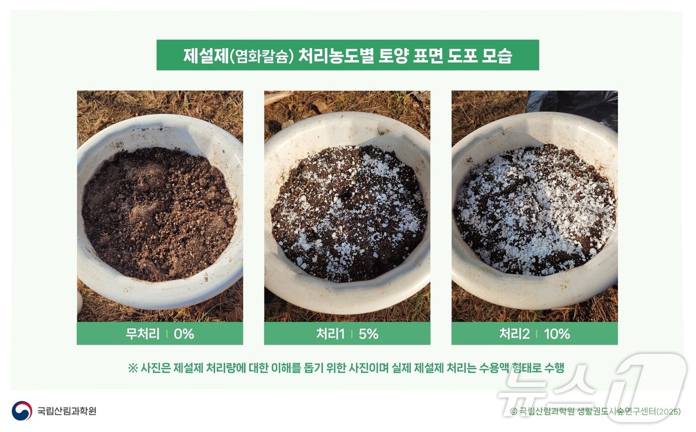 본문 이미지 -  뉴스1