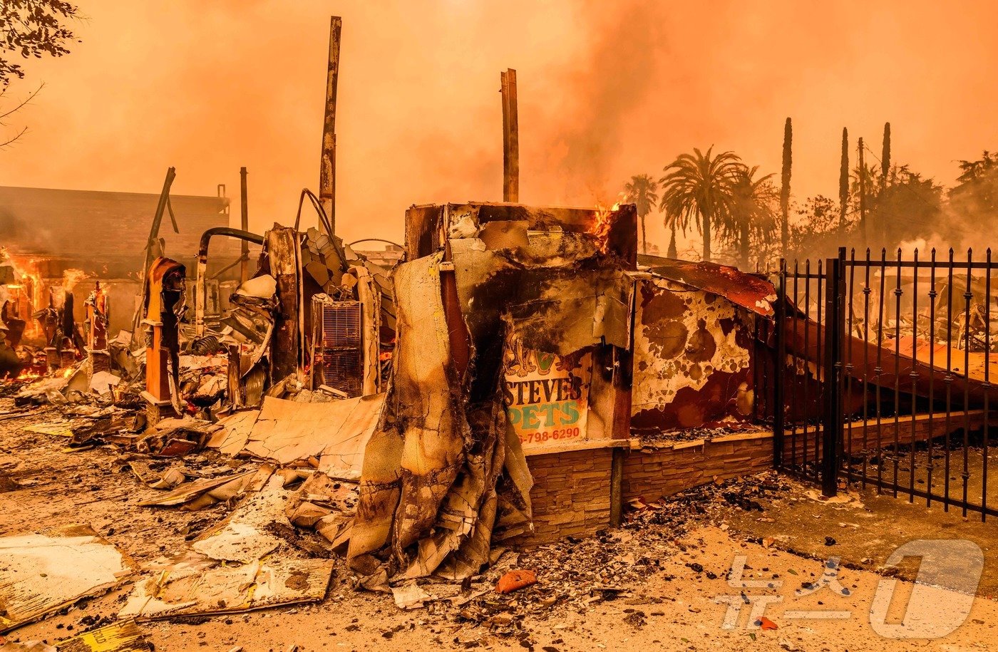 본문 이미지 - 8일 (현지시간) 이튼 산불이 발생한 캘리포니아주 앨터디너에서 잿더미가 된 애완동물 가게가 보인다. 2025.01.09 ⓒ AFP=뉴스1 ⓒ News1 우동명 기자