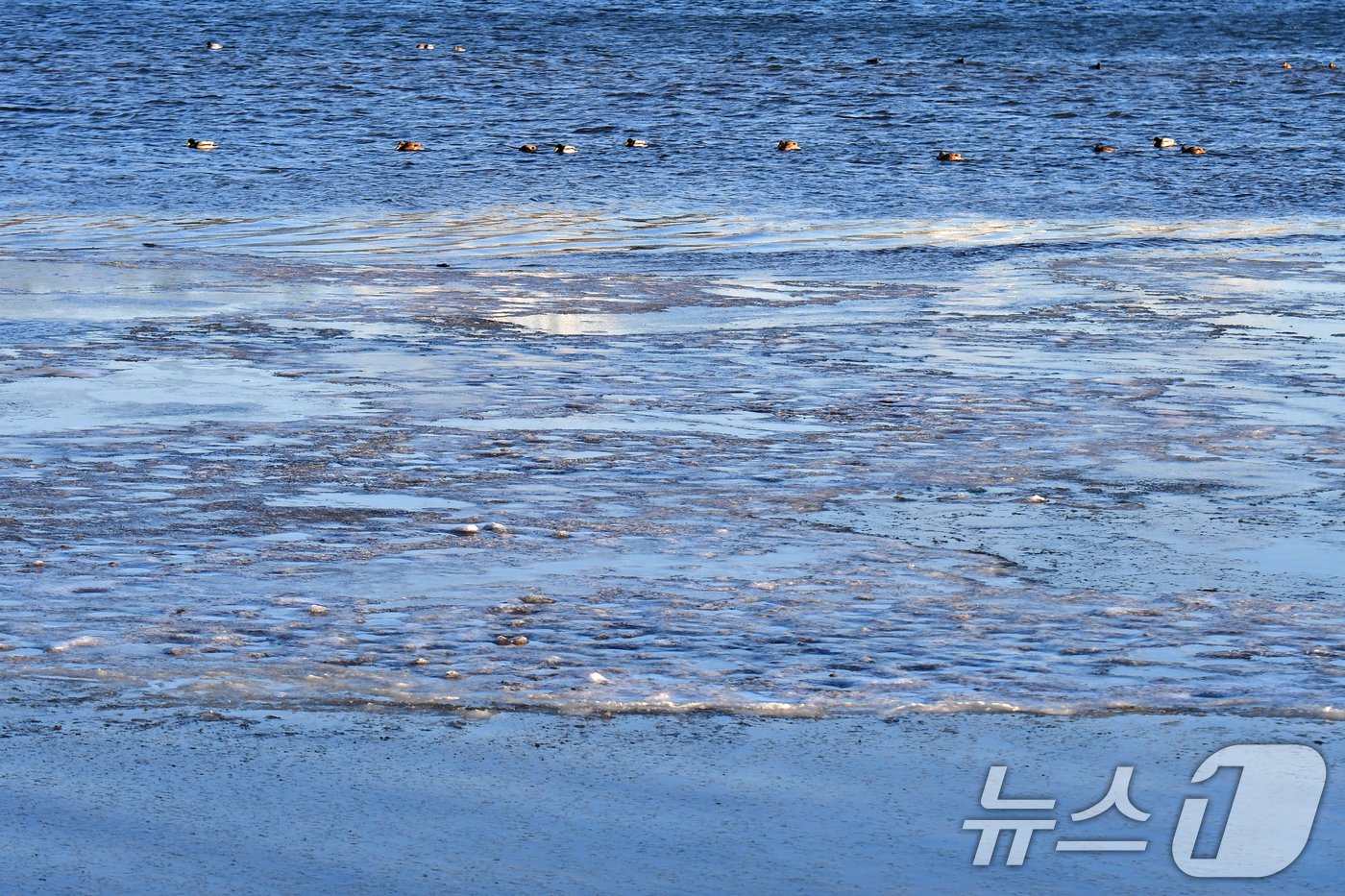 본문 이미지 - 9일 오전 경북 포항시 남구 연일읍 형산강 상류 일부 구간이 얼어있다. 이날 포항 최저기온은 영하 6도 체감기온은 10.4도까지 떨어졌다. 2025.1.9/뉴스1 ⓒ News1 최창호 기자