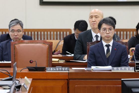 환경부 "무안공항 환경평가서 '조류 충돌' 위험 반영됐나 점검 중"