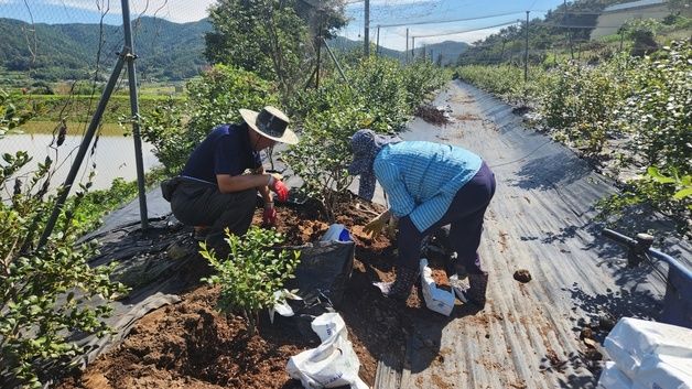 의령군, 귀농 농업창업·주택구입 지원 신청자 모집